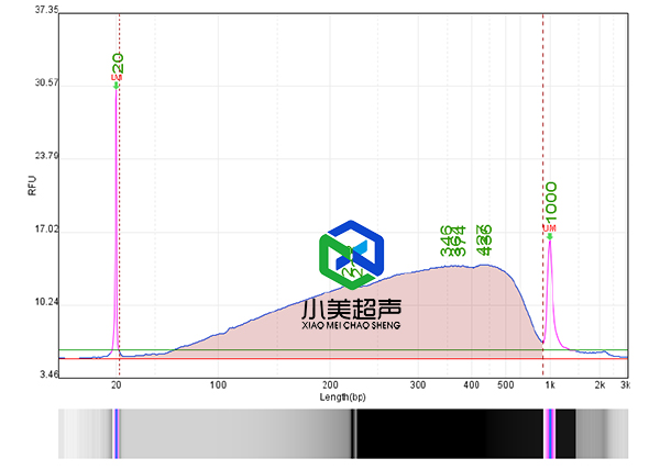 1757482555128763.jpg 9-10-2.jpg